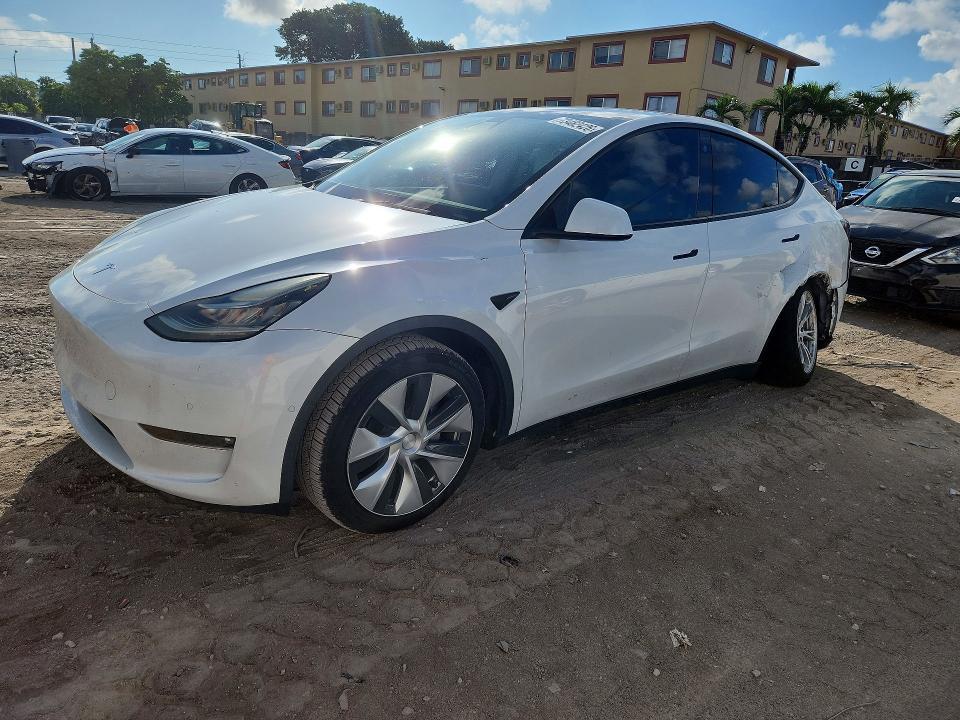2021 TESLA MODEL Y   