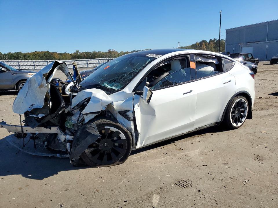 2021 TESLA MODEL Y   