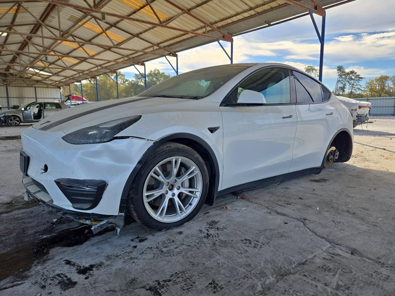 منظر 2023 TESLA MODEL Y، زاوية 1