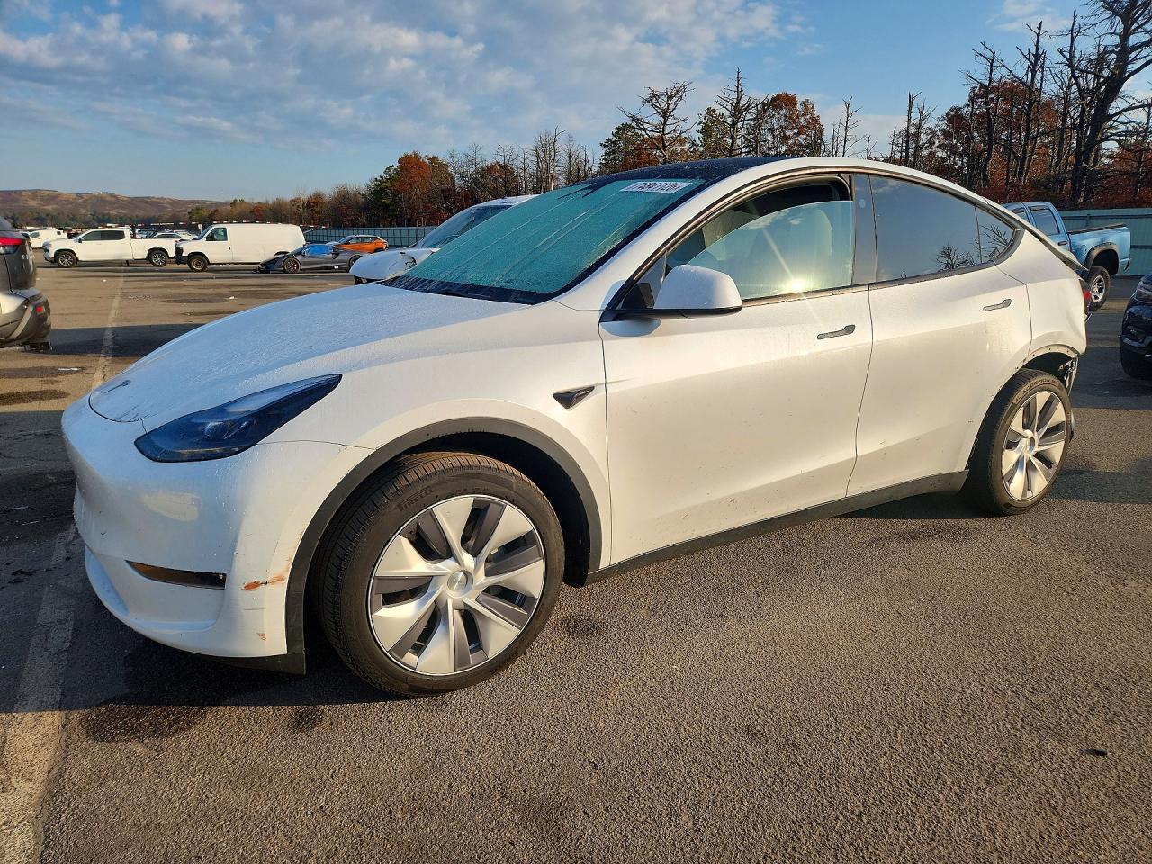 منظر 2024 TESLA MODEL Y، زاوية 1