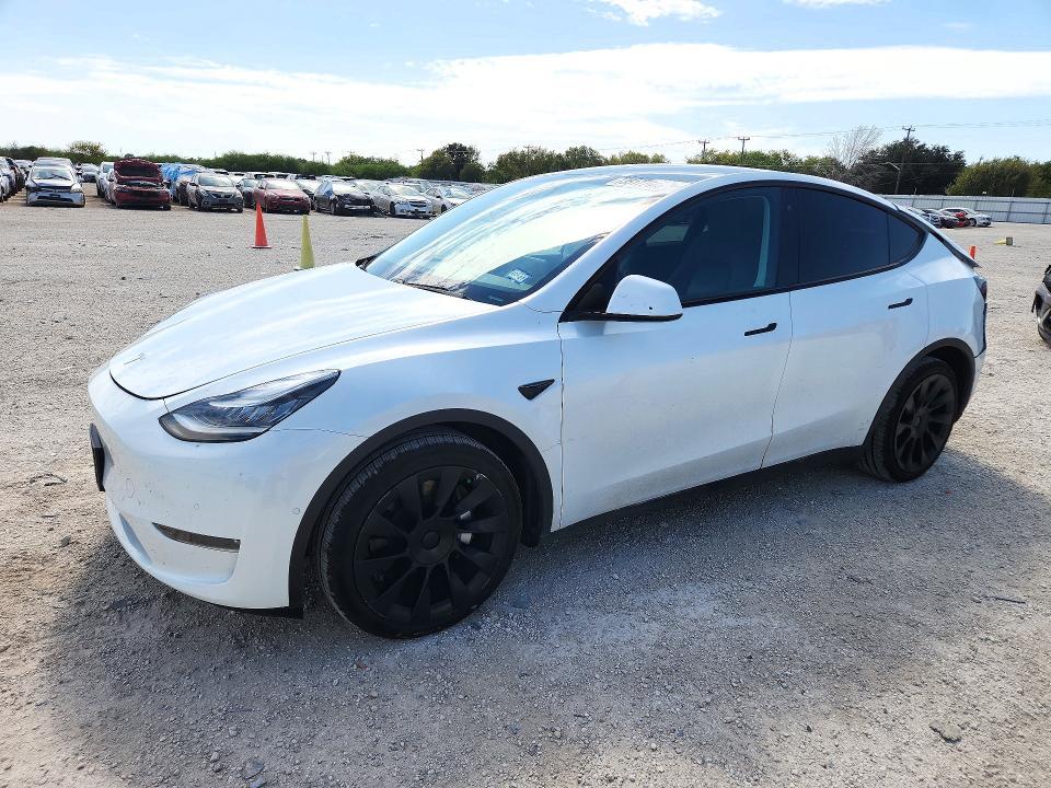 2020 TESLA MODEL Y   