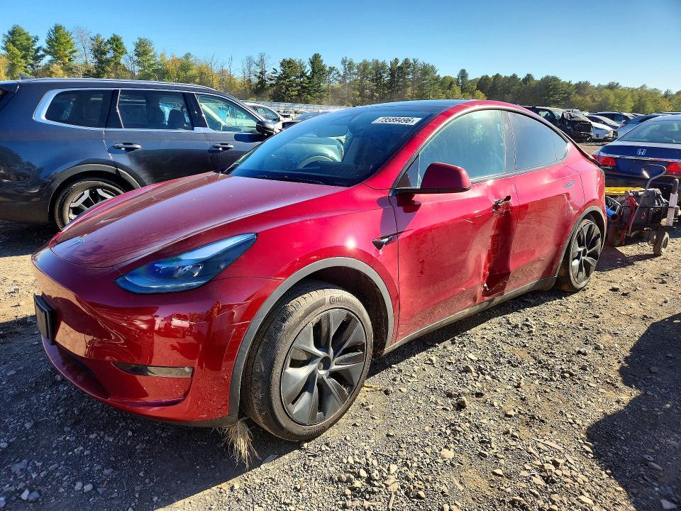 2024 TESLA MODEL Y   