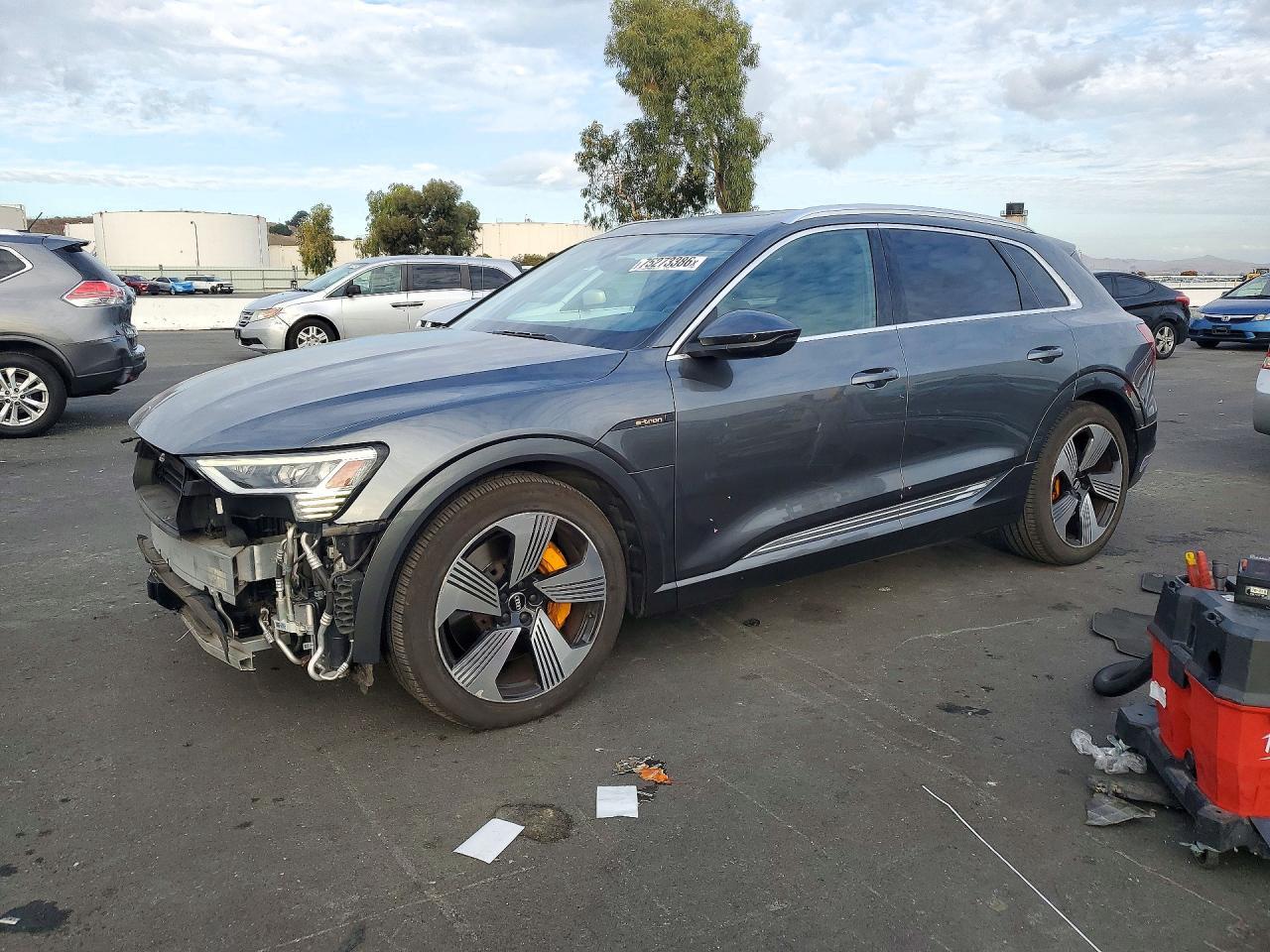Вид 2019 AUDI E-TRON PRESTIGE, угол 1