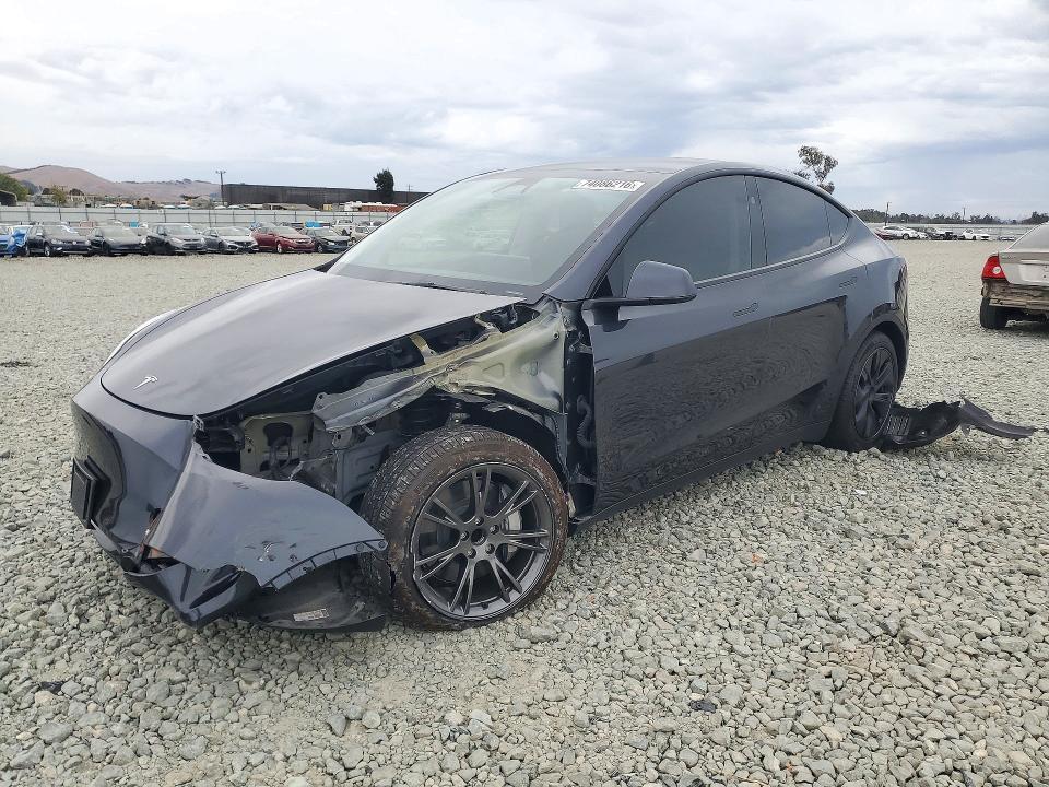 2025 TESLA MODEL Y   