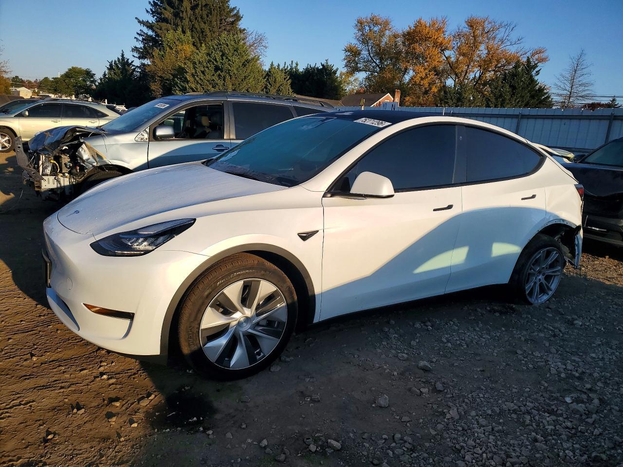 منظر 2023 TESLA MODEL Y، زاوية 1