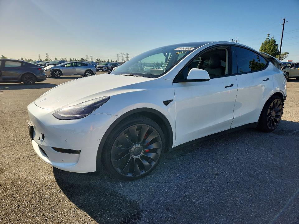2022 TESLA MODEL Y   