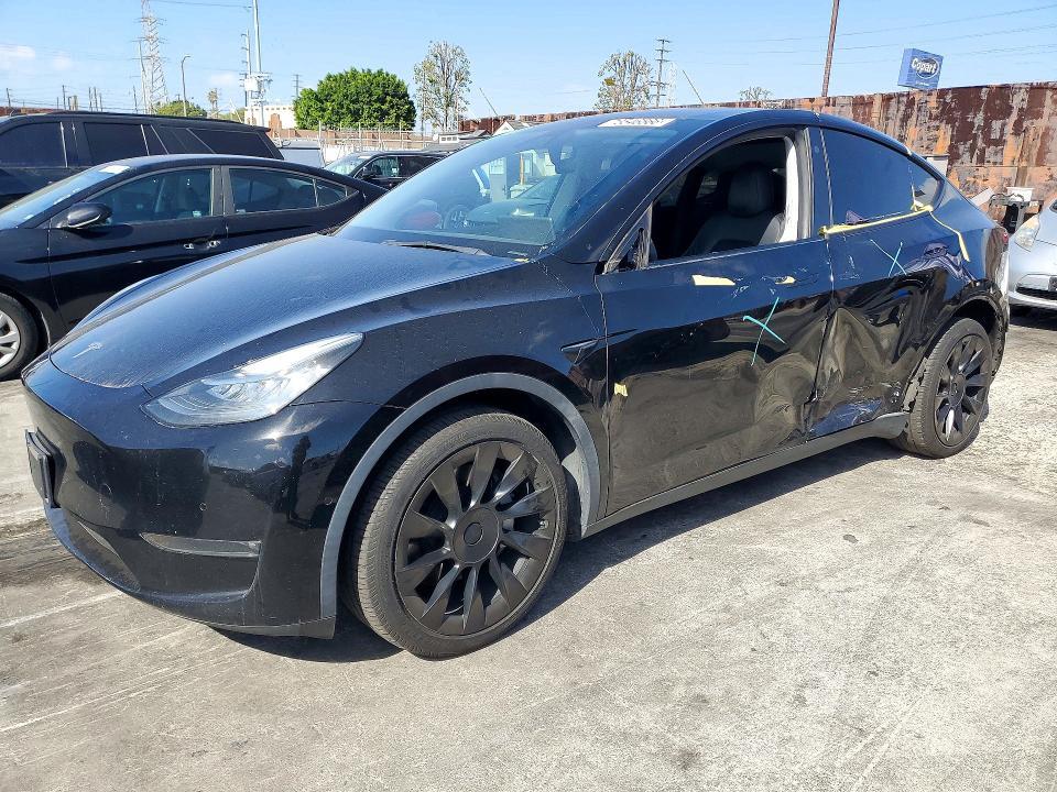 2021 TESLA MODEL Y   