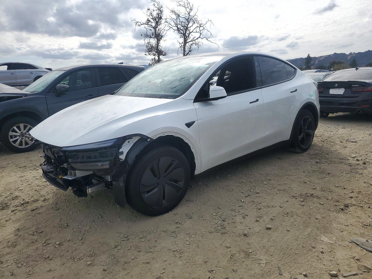 منظر 2026 TESLA MODEL Y، زاوية 1