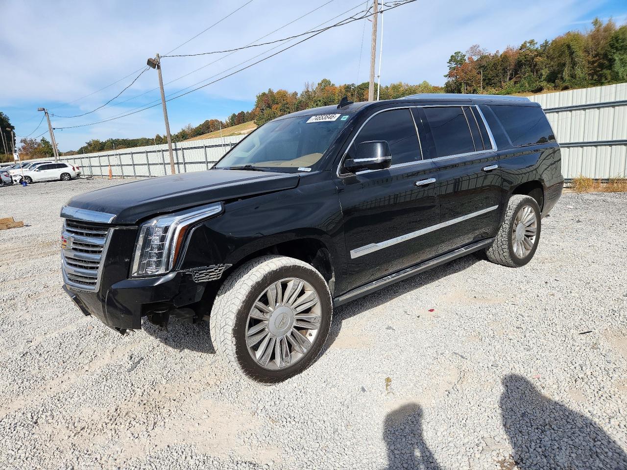 Вид 2016 CADILLAC ESCALADE ESV PLATINUM, угол 1