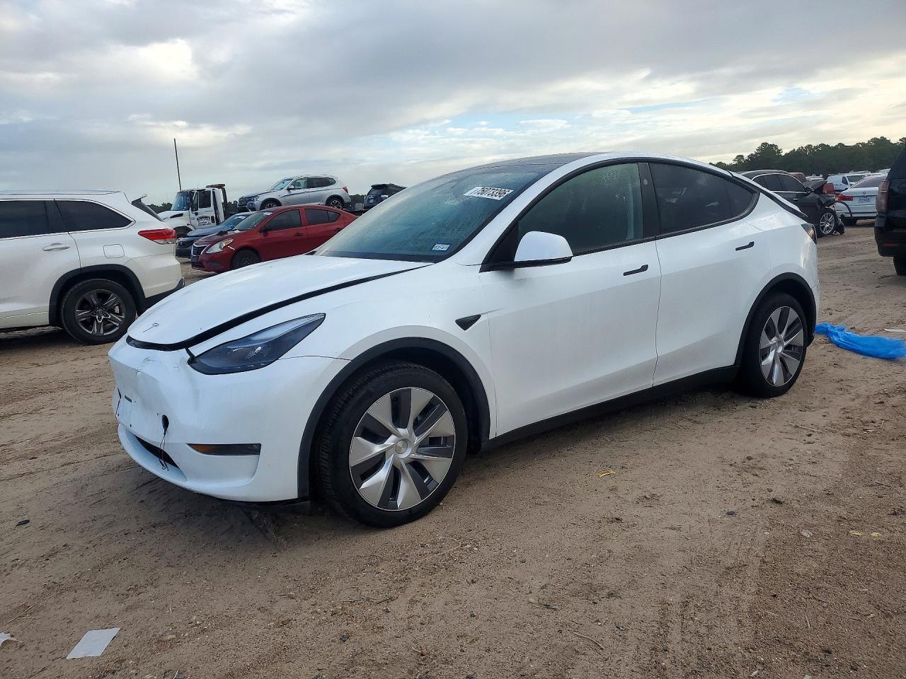 منظر 2024 TESLA MODEL Y، زاوية 1