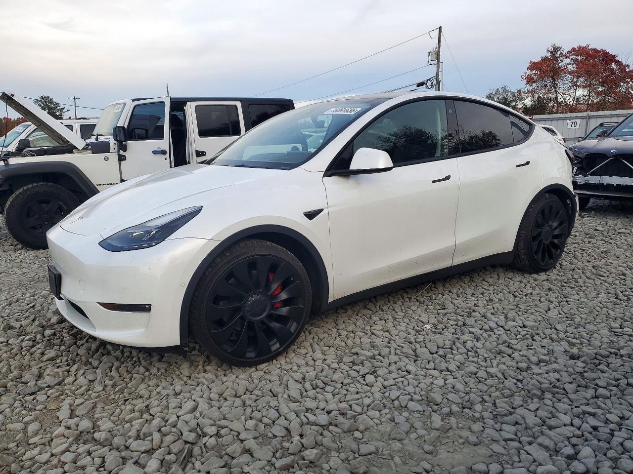 منظر 2022 TESLA MODEL Y، زاوية 1
