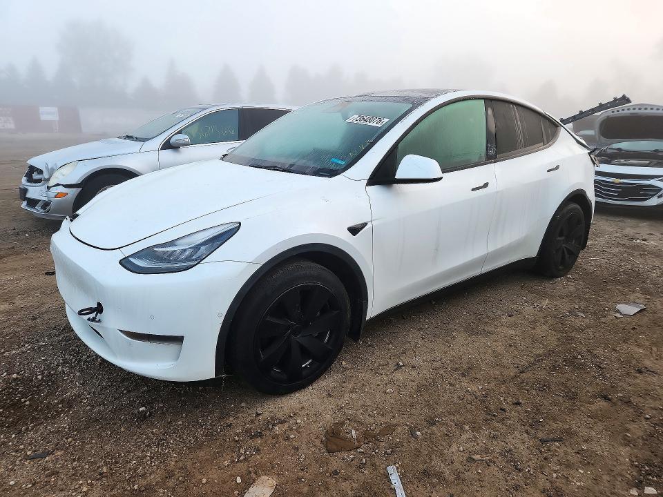 2022 TESLA MODEL Y   