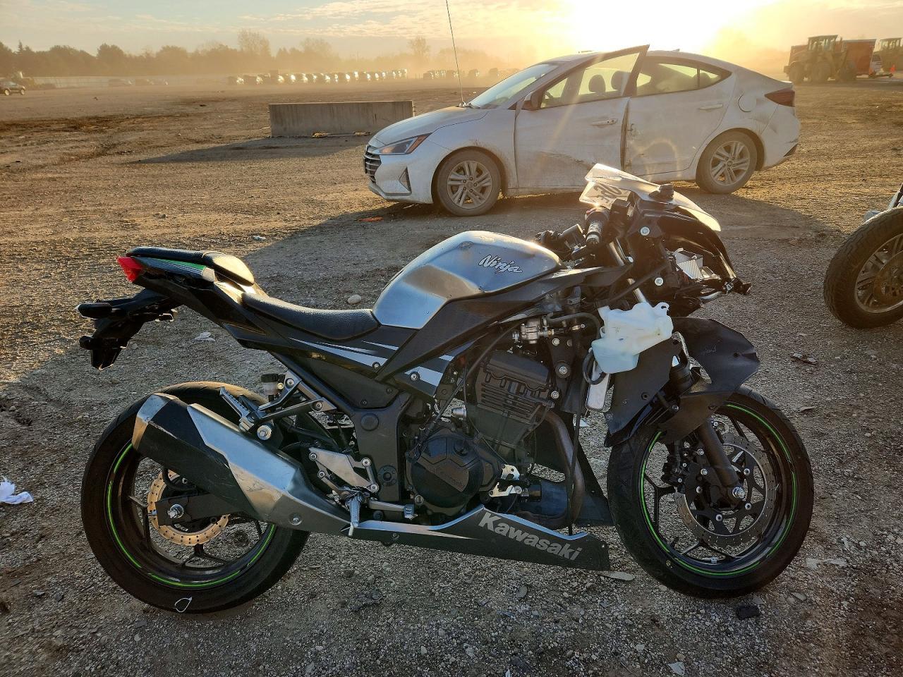 Vedere 2015 KAWASAKI EX300 A, unghi 1