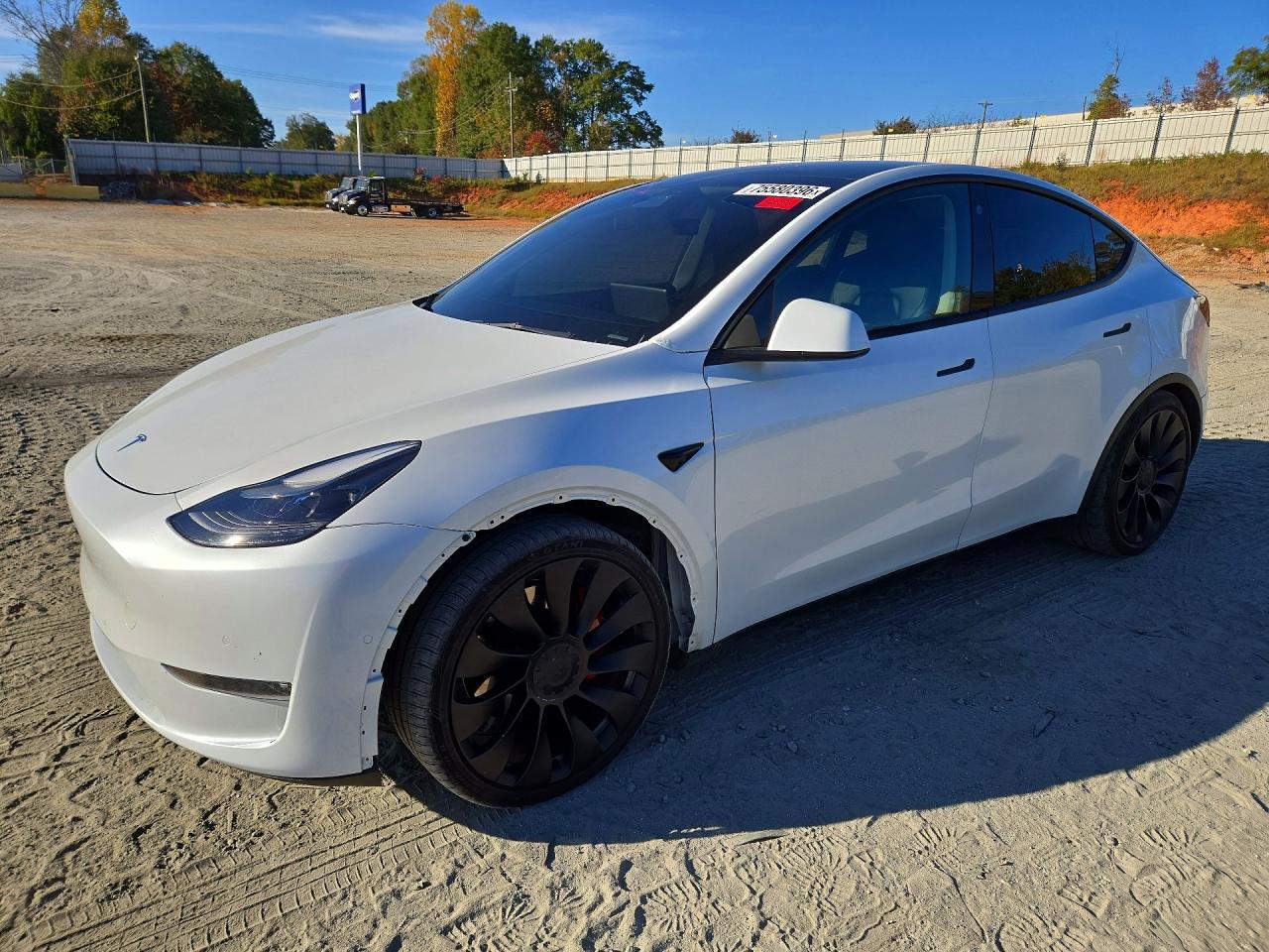 منظر 2022 TESLA MODEL Y، زاوية 1