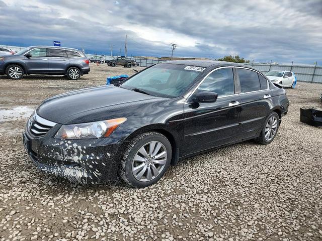 2011 HONDA ACCORD EXL  