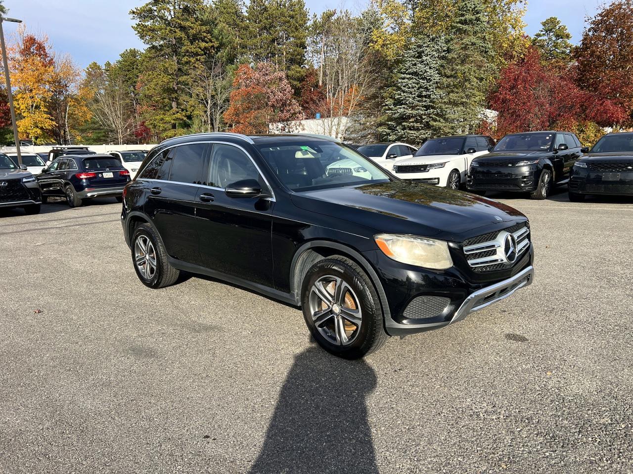 Vedere 2016 MERCEDES-BENZ GLC 300, unghi 1