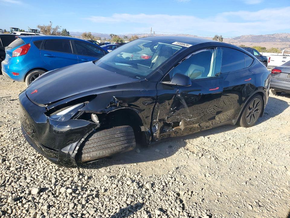 2024 TESLA MODEL Y   