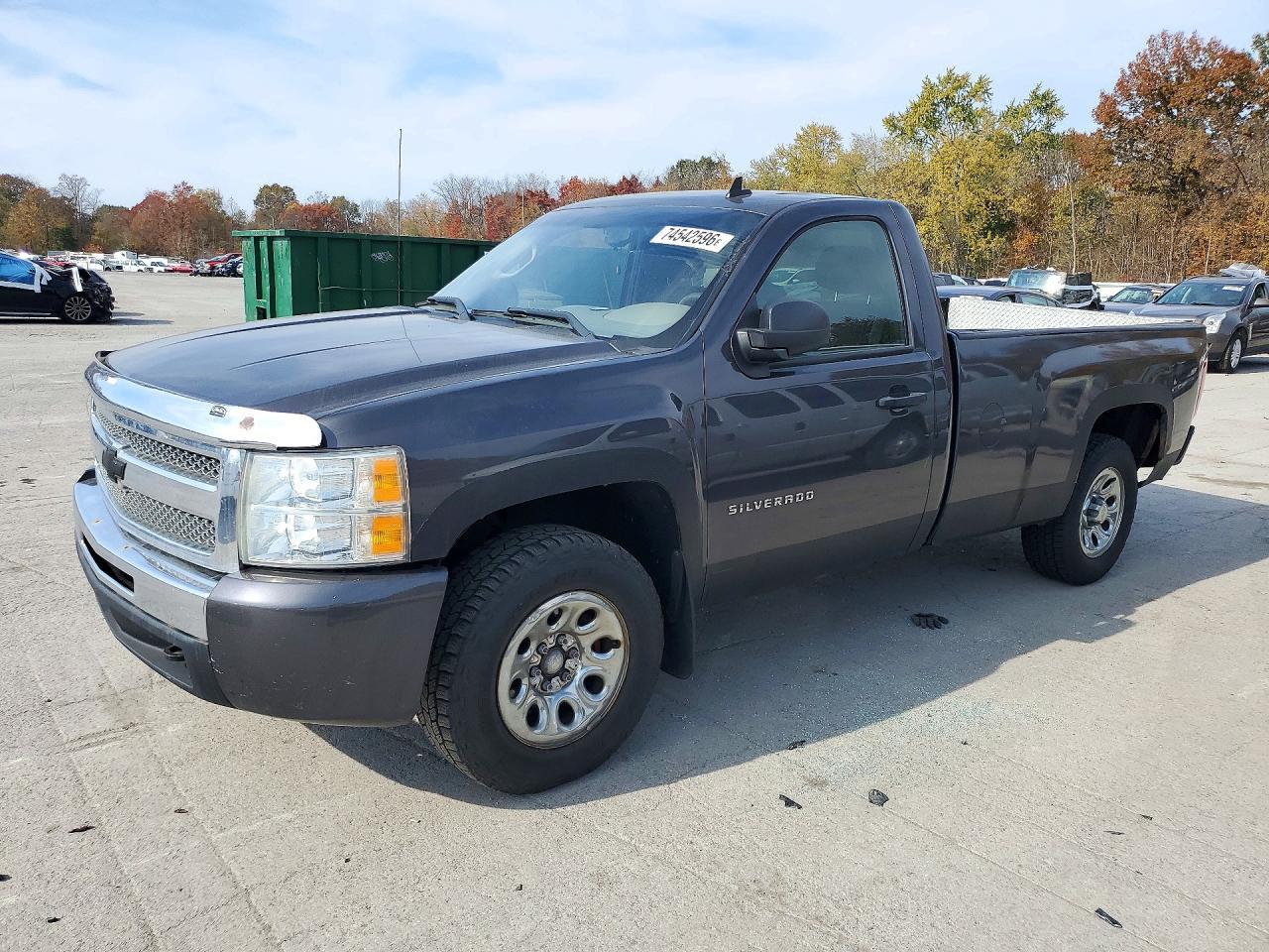 منظر 2010 CHEVROLET SILVERADO K1500 LS، زاوية 1