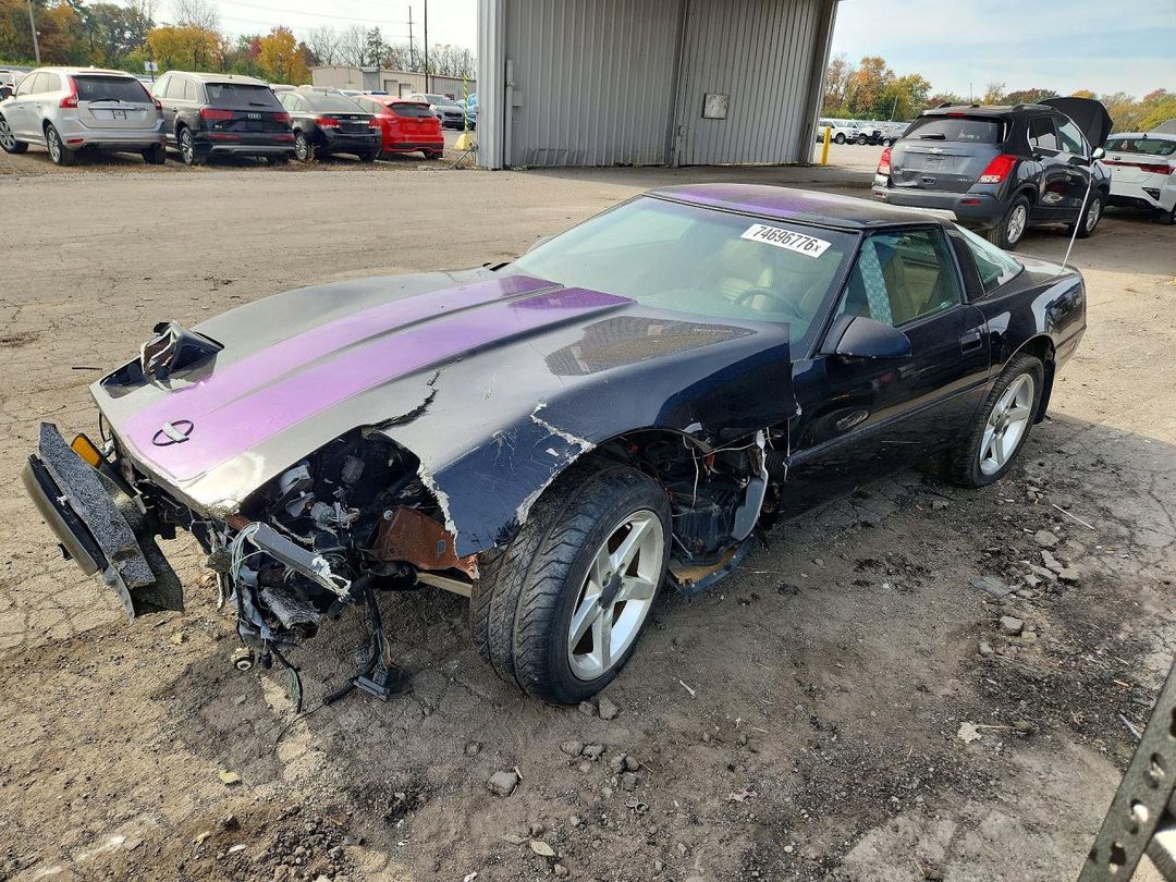Вид 1995 CHEVROLET CORVETTE, угол 1
