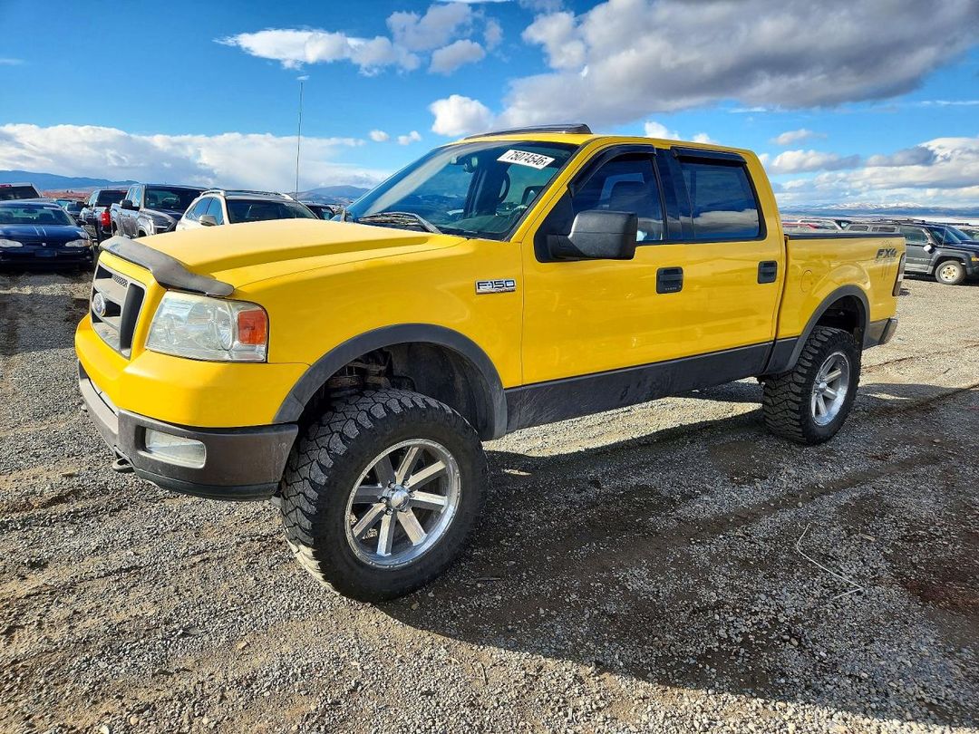 Vue de 2005 FORD F 150, angle 1