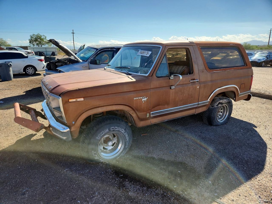 Vue de 1981 FORD BRONCO U100, angle 1