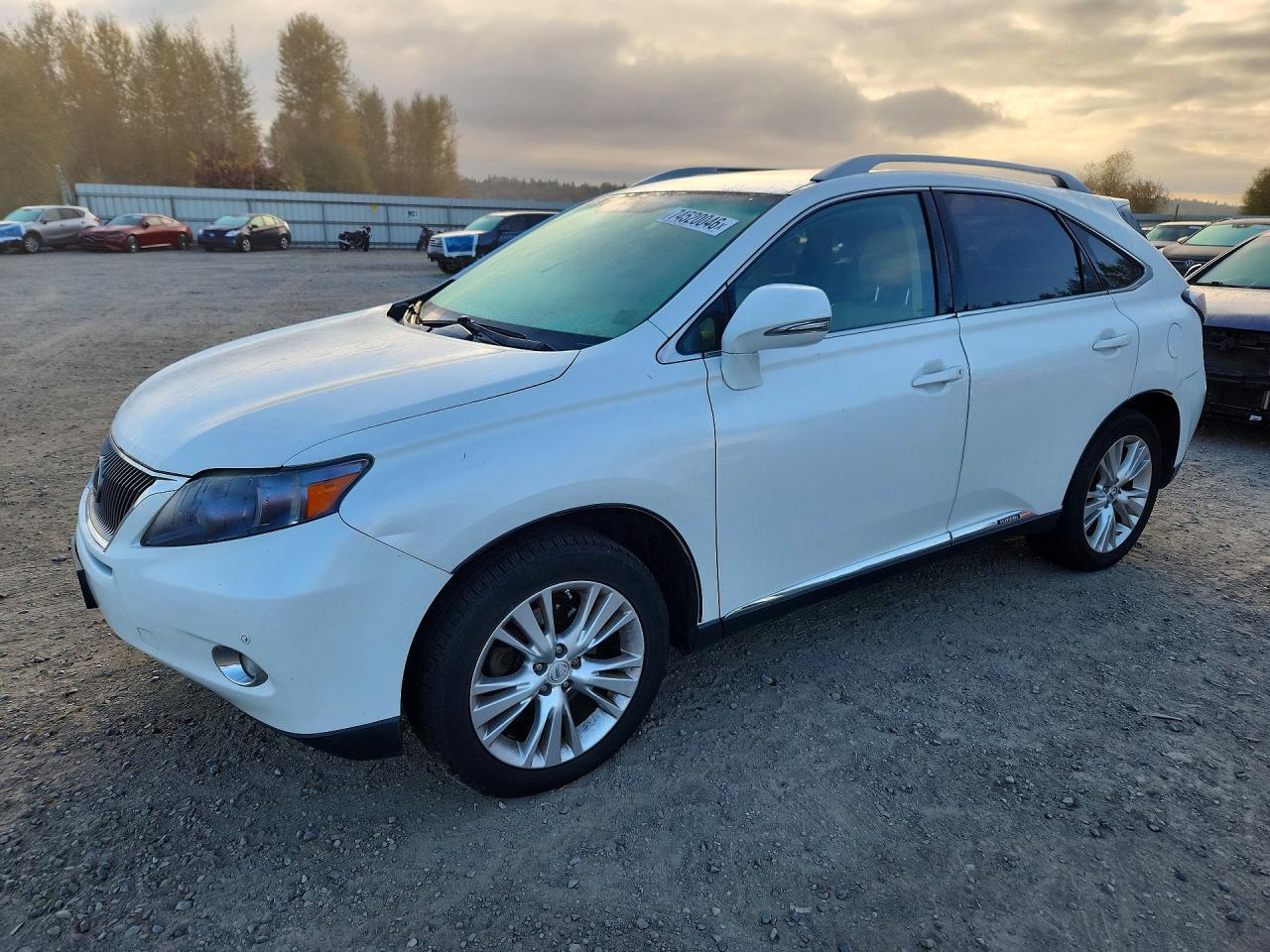 منظر 2010 LEXUS RX450 450H، زاوية 1