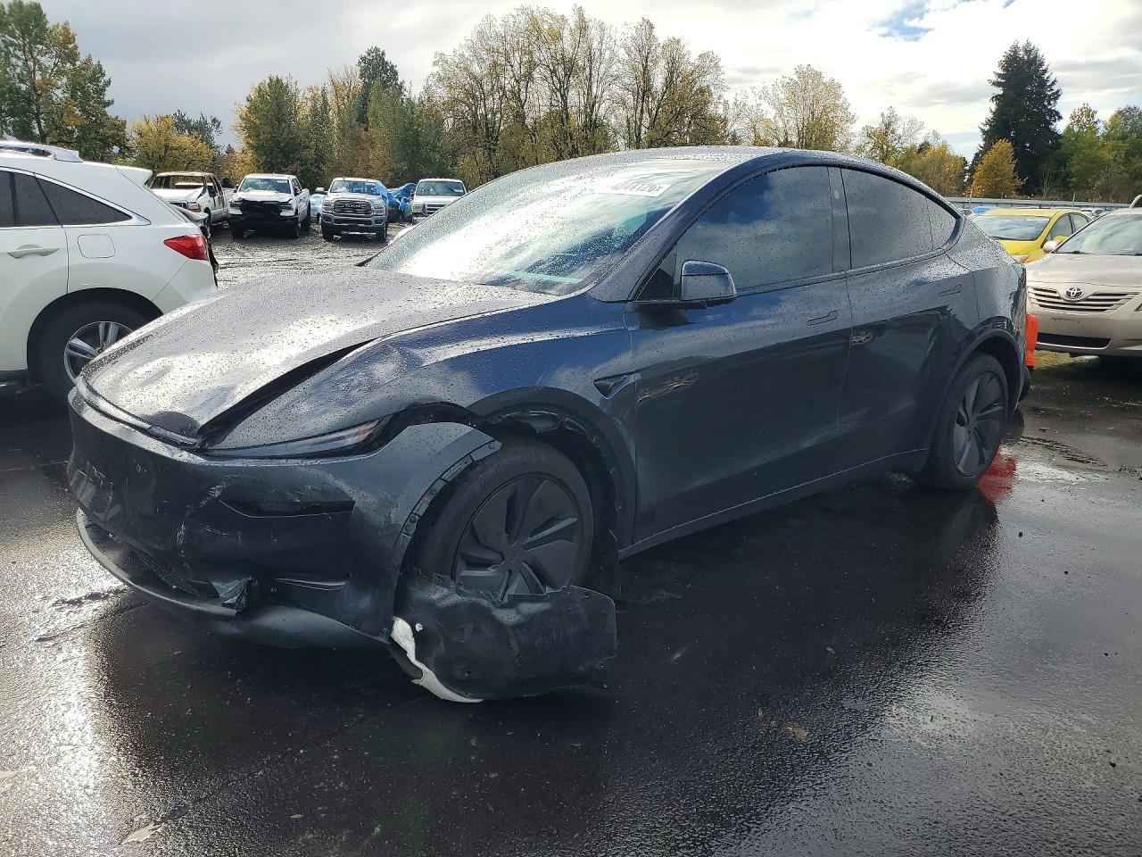 منظر 2026 TESLA MODEL Y، زاوية 1